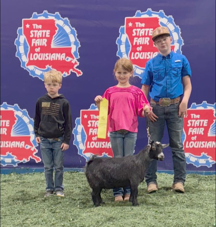 A girl and two boys with a black goat.